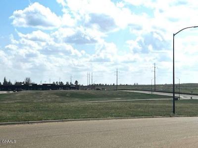 - State Avenue, Dickinson, Dakota Północna 58601, USA