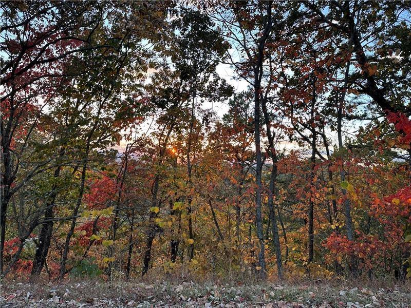 264 Stirratt Road, Ranger, Georgia 30734, USA