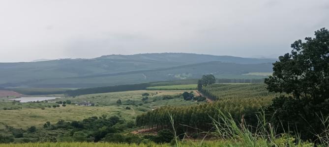 White River, Mpumalanga, South Africa