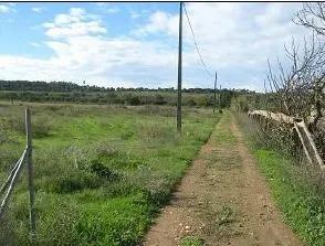 Loulé, 파로 8135-021, 포르투갈