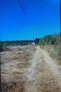 Loulé, Faro 8135-021, Portugal