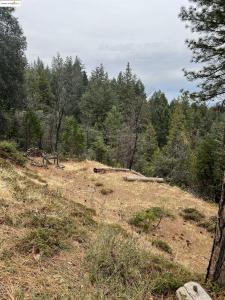 19262 Tanglewood Trl., Twain Harte, California 95383, USA