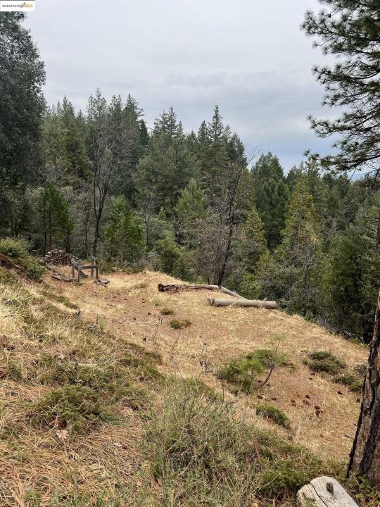 19262 Tanglewood Dr., Twain Harte, California 95383, Estados Unidos