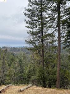 19262 Tanglewood Dr., Twain Harte, California 95383, USA