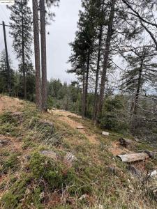 19262 Tanglewood Dr., Twain Harte, California 95383, Estados Unidos