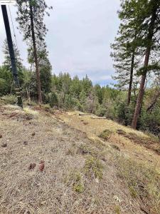 19262 Tanglewood Dr., Twain Harte, California 95383, Estados Unidos