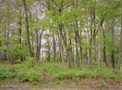 VV Lot 029 Turnberry Lane, Hazle Twp, 賓夕法尼亞州 18202, 美國