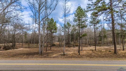 TBD FM 838, Overton, Teksas 75684, USA