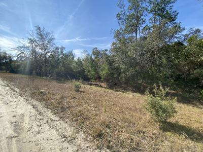 103 Dolphin Drive, Georgetown, فلوريدا 32139, الولايات المتحدة