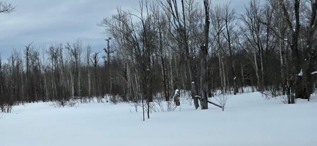 00 Ashmun Street, Sault Ste Marie, Michigan 49783, USA