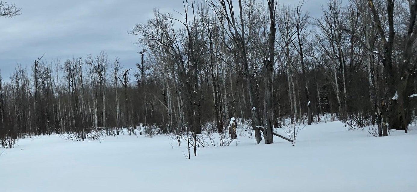 00 Ashmun Street, Sault Ste Marie, Michigan 49783