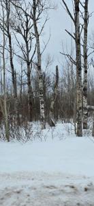 00 Ashmun Street, Sault Ste Marie, Michigan 49783
