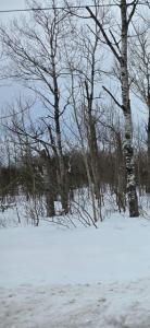 00 Ashmun Street, Sault Ste Marie, Michigan 49783