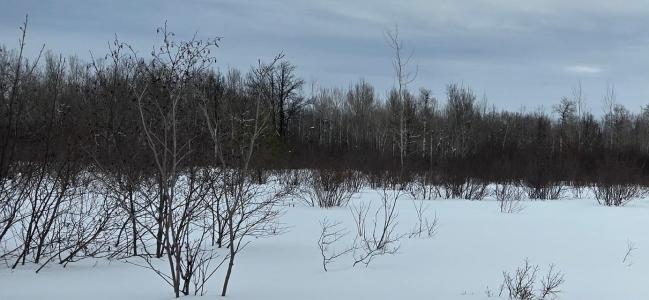 00 Ashmun Street, Sault Ste Marie, Michigan 49783