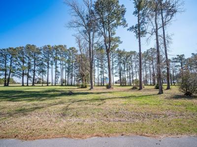 4005 Tarpon Drive, オリエンタル, ノースカロライナ 28571, アメリカ合衆国