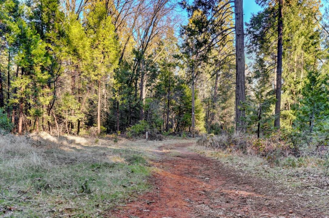 Cedar Ridge Drive, Grass Valley, Kalifornia 95945, USA