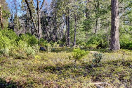 Cedar Ridge Drive, Grass Valley, Kalifornia 95945, USA