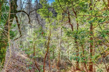Cedar Ridge Drive, Grass Valley, Kalifornia 95945, USA