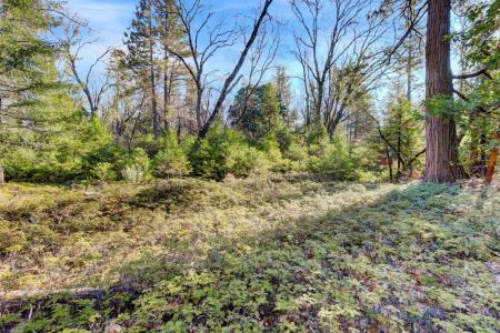 Cedar Ridge Drive, Grass Valley, Kalifornia 95945, USA