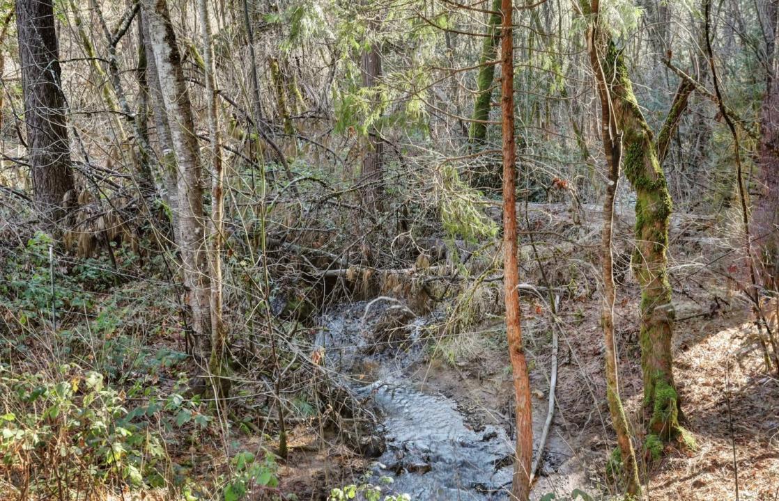 12195 E Bennett Road, Grass Valley, 加利福尼亚州 95945, 美国