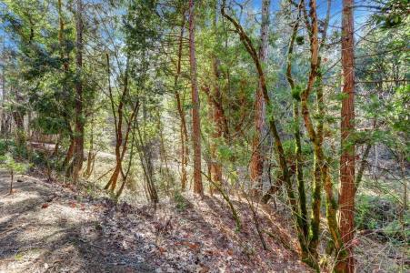 12195 E Bennett Road, Grass Valley, 加利福尼亚州 95945, 美国