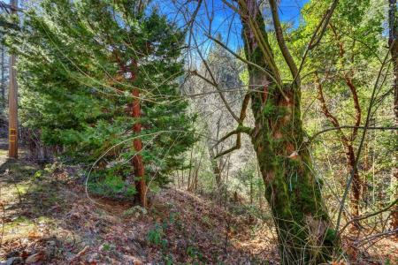 12195 E Bennett Road, Grass Valley, California 95945, USA