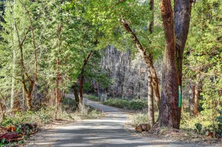 12195 E Bennett Road, Grass Valley, 加利福尼亚州 95945, 美国