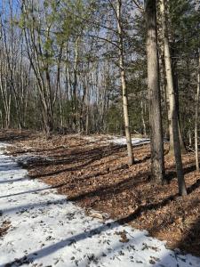 Nepaug Road, Burlington, Connecticut 06013, HOA KỲ