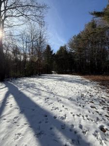 Nepaug Road, Burlington, Connecticut 06013, HOA KỲ