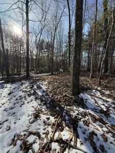 Nepaug Road, Burlington, Connecticut 06013, HOA KỲ