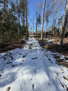 Nepaug Road, Burlington, Connecticut 06013, HOA KỲ