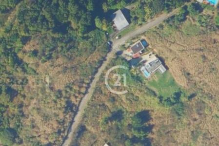 LES CITRONELLES, Saint-Pierre, Martinique