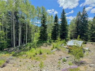 LOT 4 PRINCETON SUMMERLAND ROAD, Princeton, Britanya Kolombiyası V0X 1W0, Kanada