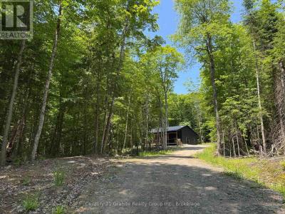 1218 BASSHAUNT LAKE ROAD, Dysart Et Al (guilford), Ontario K0M 1S0, Canada