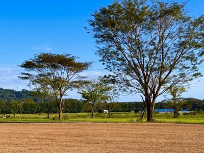 Playa Hermosa Jacó Garabito, Puntarenas 00001, Коста-Рика