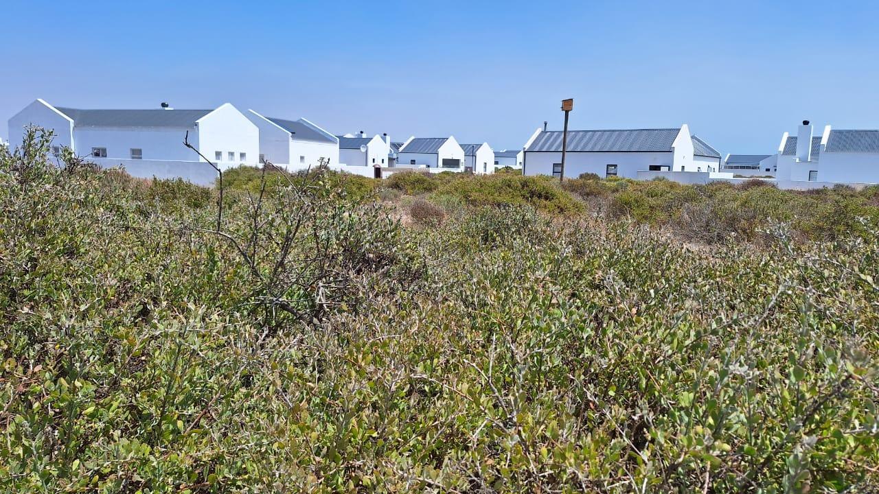 Velddrif, Western Cape, Nam Mỹ