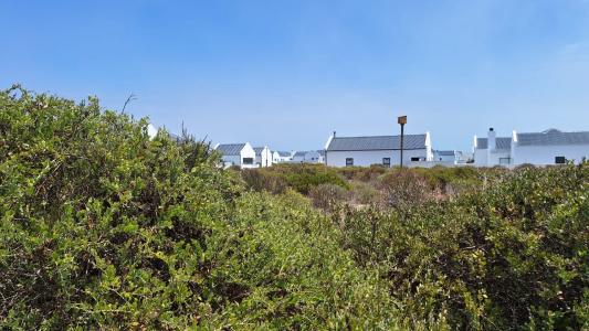 Velddrif, Western Cape, Nam Mỹ