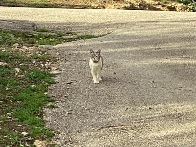 Sintra, Lisbon 2705-569, Portugal