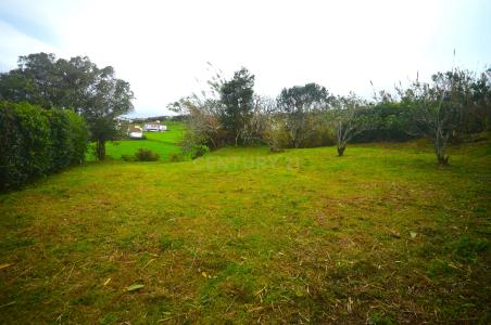 Nordeste, São Miguel 9630-101, Portekiz