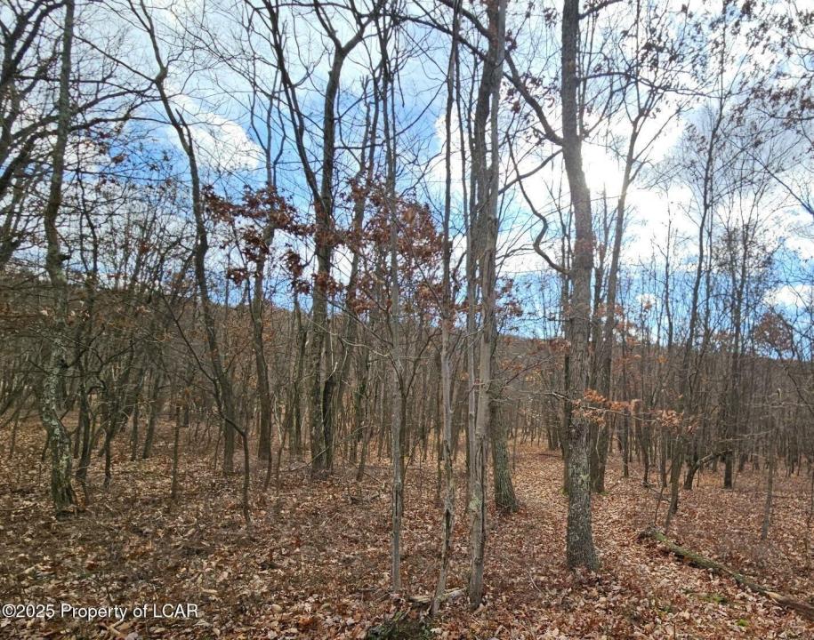 AV2 030 Sisilia Lane, Hazleton, 宾夕法尼亚州 18202, 美国
