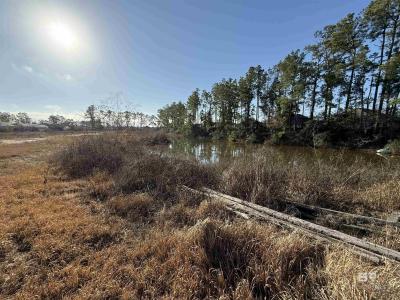 18892 OLD PLASH ISLAND Road, Gulf Shores, אלבמה 36542, ארצות הברית של אמריקה