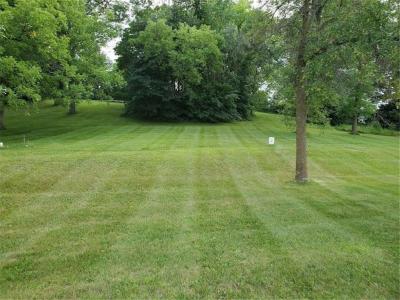 Lot 2 Devils Lake Road NW, Brandon, Minnesota 56315, États-Unis