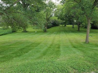Lot 2 Devils Lake Road NW, Brandon, Minnesota 56315, États-Unis