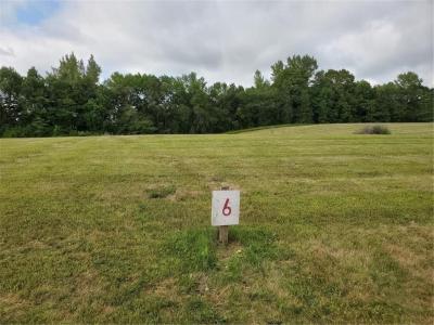 Lot 6 Devils Lake Road NW, Brandon, Minnesota 56315, États-Unis