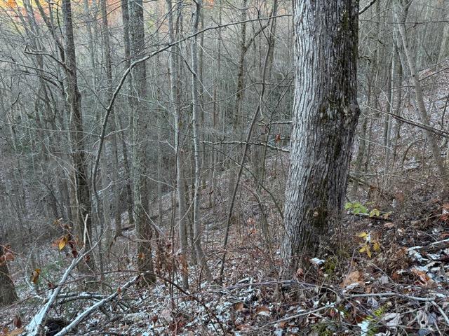 Lot 5 High Ridge Way, Sevierville, Tennessee 37862, Estados Unidos
