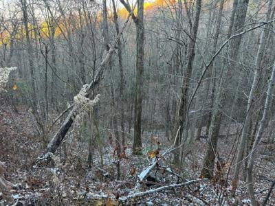 Lot 5 High Ridge Way, Sevierville, Tennessee 37862, Estados Unidos