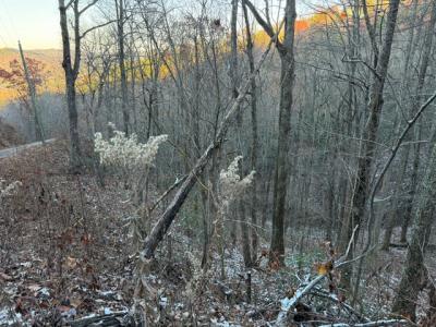 Lot 5 High Ridge Way, Sevierville, Tennessee 37862, Estados Unidos