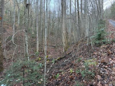 Lot 5 High Ridge Way, Sevierville, Tennessee 37862, Estados Unidos