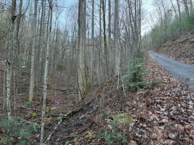 Lot 5 High Ridge Way, Sevierville, Tennessee 37862, Estados Unidos