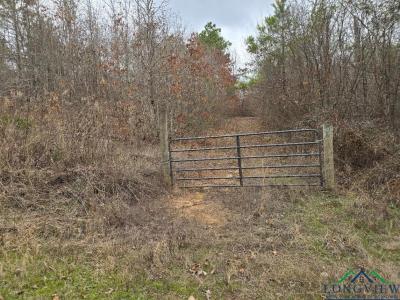 000 County Road 1634, Linden, Texas 75563